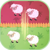 Sheep Flock Management