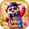 Linky TwinX