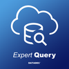 Expert Query