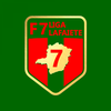 Liga F7 Lafaiete