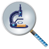 Magnifying glass & Microscope