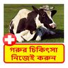 গরুর চিকিৎসা ~ Cows Treatment