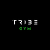 Tribe Gym