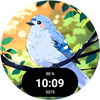 Bird Mood Watch Face – Wear OS