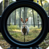 Rabbit Hunting Challenge 3D