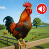 Animal Ringtones: Bird sounds