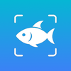 Fish Identifier: FishFinder
