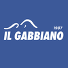 Il Gabbiano