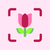 FloraSnap - Flower Identifier