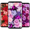 Flowers Wallpapers