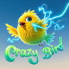 Crazy Bird
