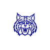 Suffield Wildcats Athletics