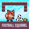 FOOTBALL SQUIRREL