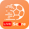 All Soccer Live Scores