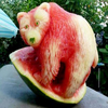 Fruit Carving Ideas