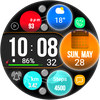 FS W234 Watch face