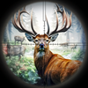 Deer Hunt: Shooting Hunt Games