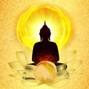 Buddha HD Wallpapers