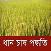 ধান চাষ পদ্ধতি ~ Paddy Cultiva