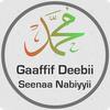 Gaaffif Deebii 440 Seenaa Nabi