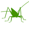 Orthoptera ALT