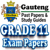 Grade 11 Gauteng Past Papers