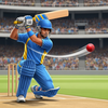 World Champion 3D Cricket Game