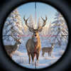 Deer Hunt - Wild Shooting Game