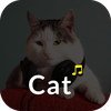 Cat Ringtones