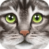 Ultimate Cat Simulator