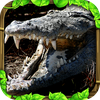 Wildlife Simulator: Crocodile
