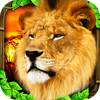 Safari Simulator: Lion