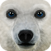Ultimate Arctic Simulator