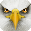 Ultimate Bird Simulator