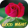 good night in rose
