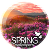 Spring wallpapers for phone