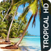 Tropical phone wallpapers