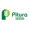 Pitura Seeds