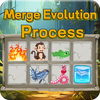 Merge Evolution Process