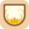 Grain VPN