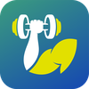 Gym Workout Full Body Program