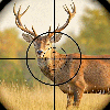 Wild Animal Sniper Hunter Game