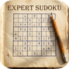 The Expert Sudoku Challenge