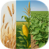 Crop Yield & Revenue Calc