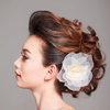 hairdo to party