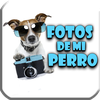 PerroPics