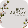 Happy Sunday Message