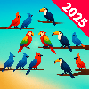 Bird Shorts - Color Game