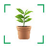 Plant Identifier & Plant Guide