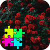 Fragrant Roses Jigsaw Puzzle G